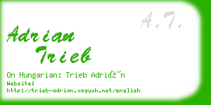 adrian trieb business card